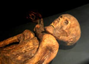 Reconstitution de la momie d'Ötzi présentée au musée de Préhistoire de Quinson - 120 (pseudo Wikipédia) | Creative Commons BY-SA 3.0