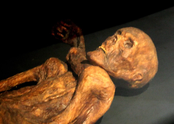 Reconstitution de la momie d'Ötzi présentée au musée de Préhistoire de Quinson