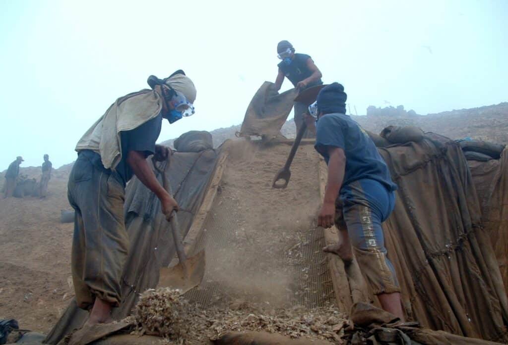 Travailleurs collectant le guano sur l'île de Guañape Norte 2002 - Miguel Yupanqui | Creative Commons BY-SA 3.0