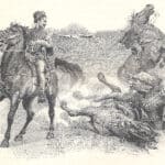 La dame de Monsoreau, pour illustrer notre article sur la domestication du cheval dans l'histoire - Alexandre Dumas | Domaine public