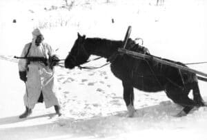 Soldat allemand et son cheval dans la campagne russe en 1941