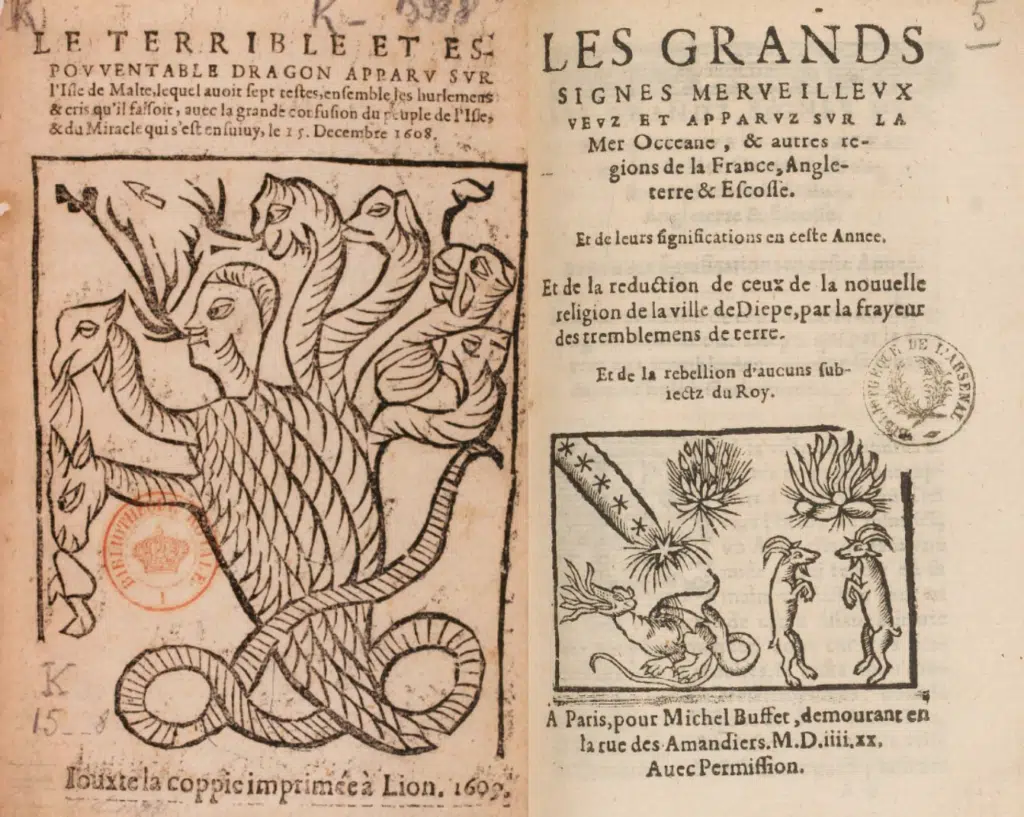 Deux canards, un sur un dragon, un autre sur des signes du ciel, issus des collection de la BnF - Source gallica.bnf.fr | Domaine public