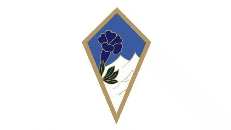 Insigne du 27e BIM | Armée de Terre