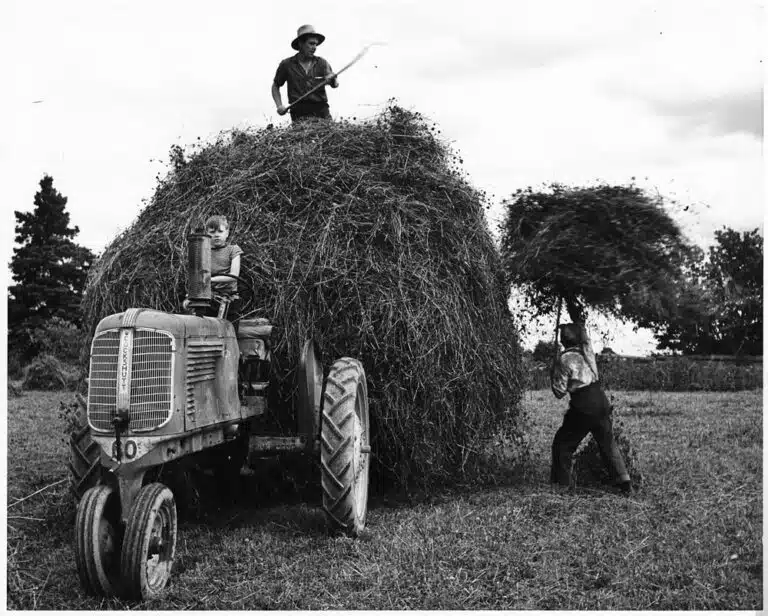 Récolte foin après 1950 - BiblioArchives / LibraryArchives | Creative Commons BY 2.0