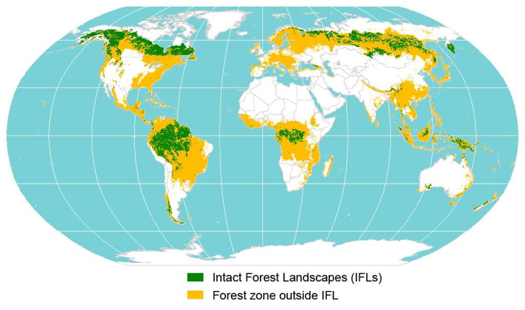 Les paysages forestiers intacts de la planète - Potapov (pseudo Wikipédia) | Domaine public