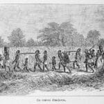 Convoi d’esclaves. In « Aventures de six français aux colonies. Bonnefont, Gaston. 1890 » - Musée historique de Villèle | Domaine public