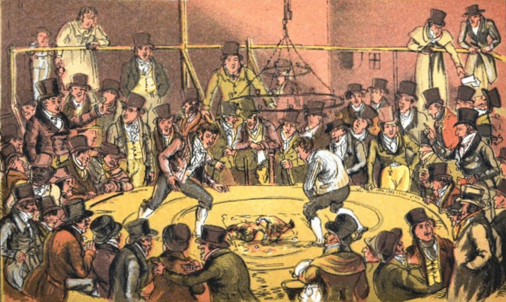 Illustration de Georges Cruikshank dans Life In Lodon représentant un combat de coqs dans les bas-fonds | Domaine public