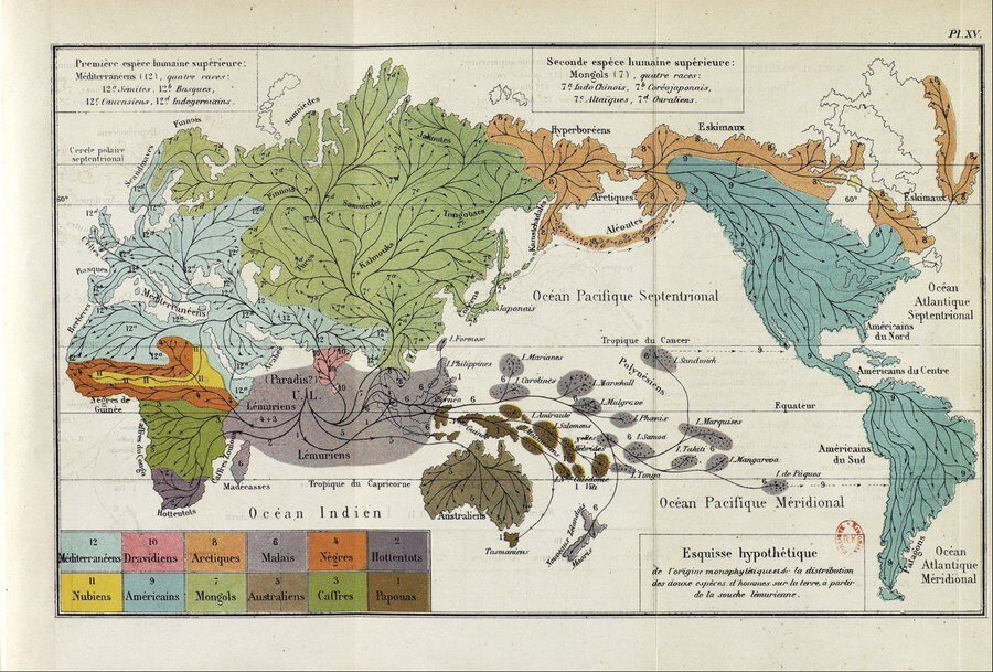 Extraits de l'Histoire de la création des êtres organisés d'après les lois naturelles en 1877 - Ernst Haeckel (Gallica) | Domaine public