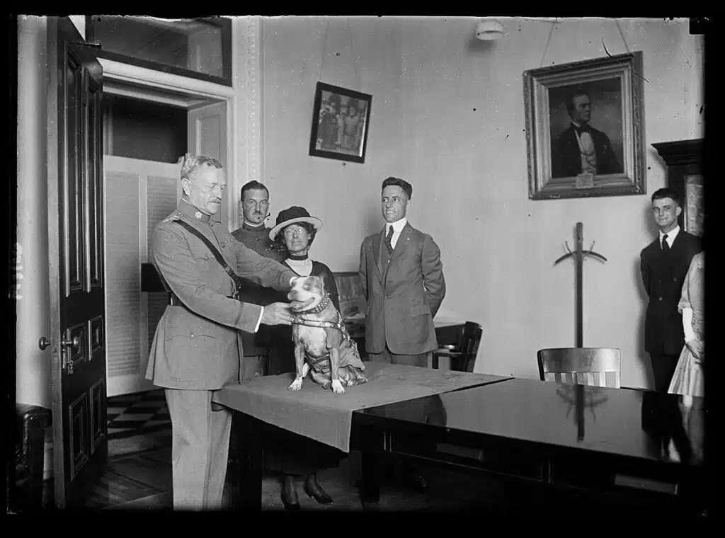 Le général John J. Pershing remettant une médaille au sergent Stubby | Harris & Ewing - Domaine Public