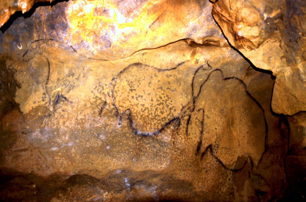 Grotte Mayenne-Science, avec un panneau renfermant des figurations pariétales préhistoriques (dessins et gravures). - JYB Devot [Pseudo Wikipédia] | Creative Commons BY-SA 4.0