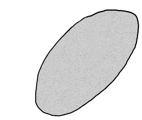 La méthode de débitage Levallois, avec un éclat préférentiel - osé-Manuel Benito Álvarez | Creative Commons BY-SA 2.5