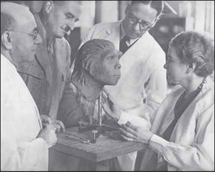 Lucile Swan produit en 1937 la première reconstitution sculptée de l'Homme de Pékin - Auteur inconnu | Accessible via le compte X (Twitter) de 
John Hawks