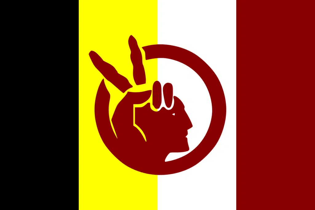 Drapeau de l'American Indian Movement - Domaine Public