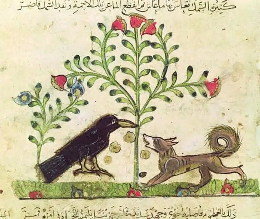 Une illustration de la fable Le renard et le corbeau, issue de Kalila et Dimna - Ibn al-Muqaffa | Domaine public
