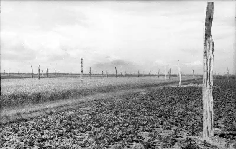 Asperges de Rommel en France en 1944 - Bundesarchiv | Creative Commons BY-SA 3.0