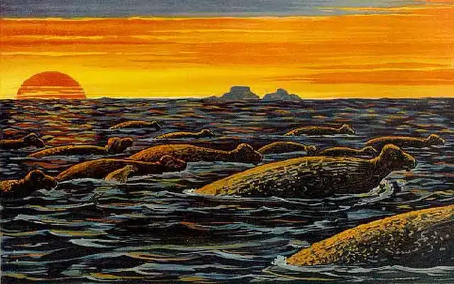 Carte dépeignant des rhytines devant un coucher de soleil – F. John | Domaine public