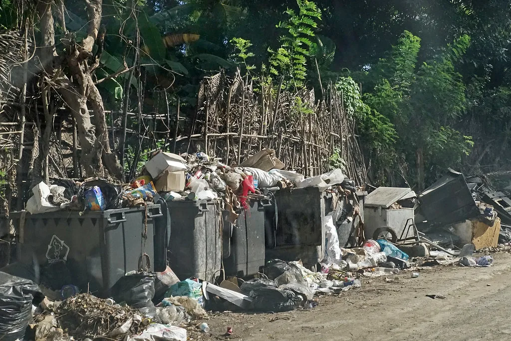 sur la route des badamiers (labattoir, mayotte)