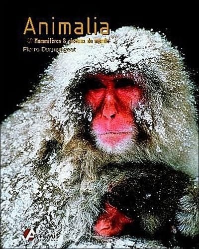 Couverture : Animalia : Les mammifères & les oiseaux du monde