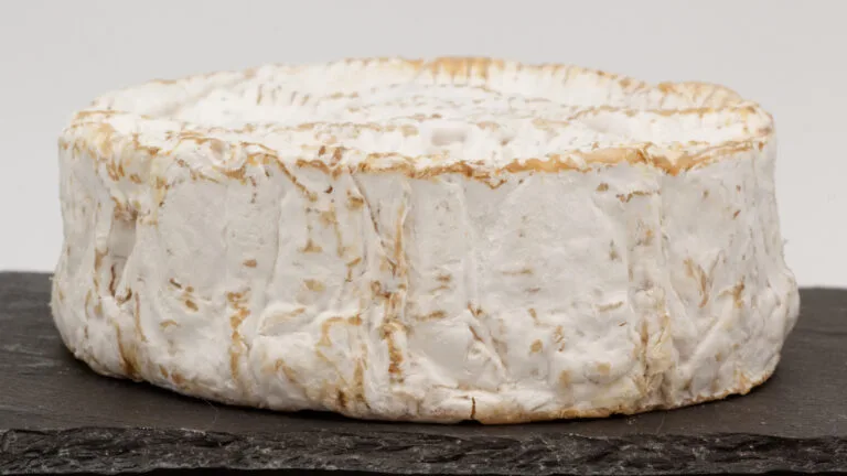Camembert de Normandie AOP - Coyau (pseudo Wikimedia) | Creative Commons BY-SA 3.0