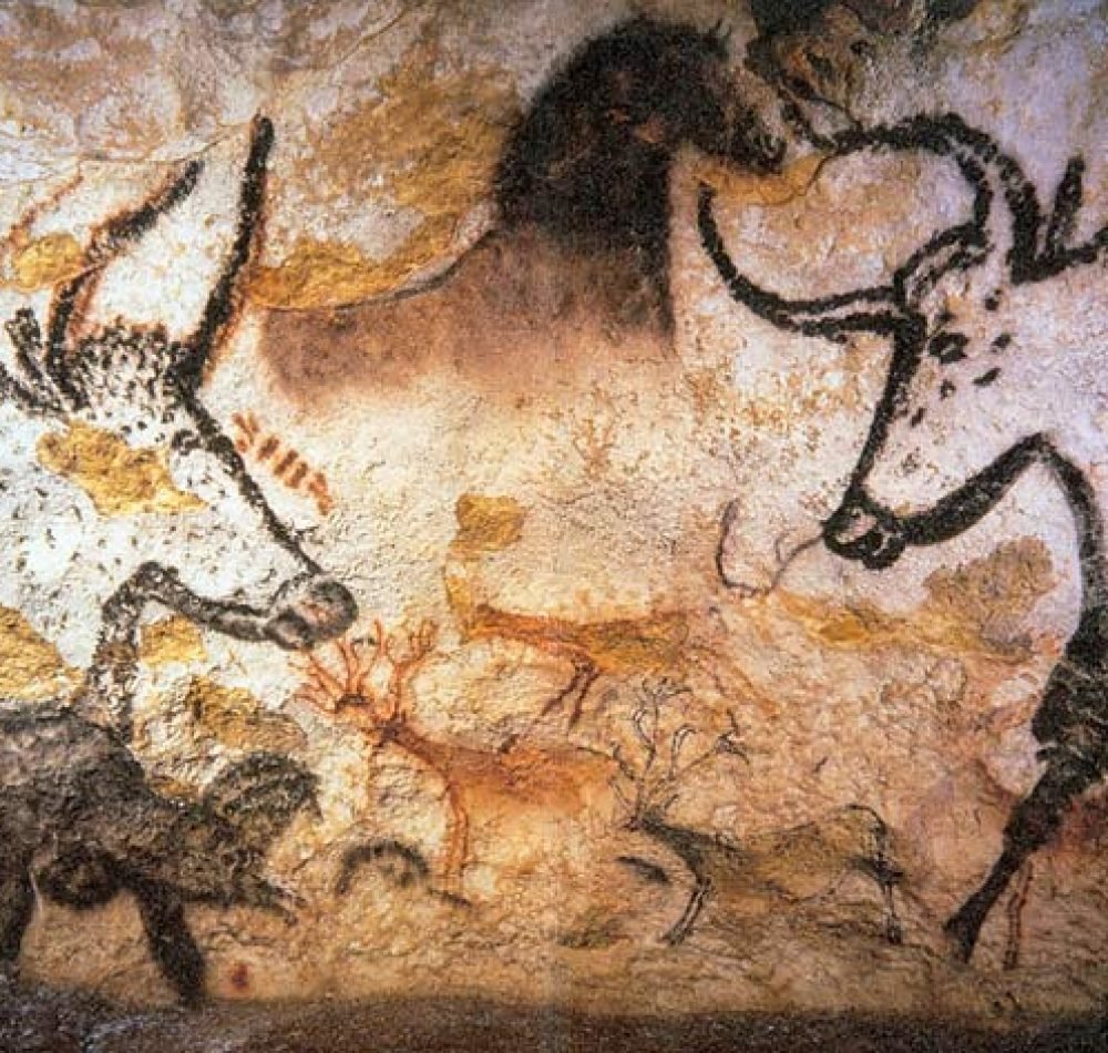 Aurochs représentés dans la grotte de Lascaux. Lascaux 2 - Auteur inconnu | Creative Commons BY-SA 3.0