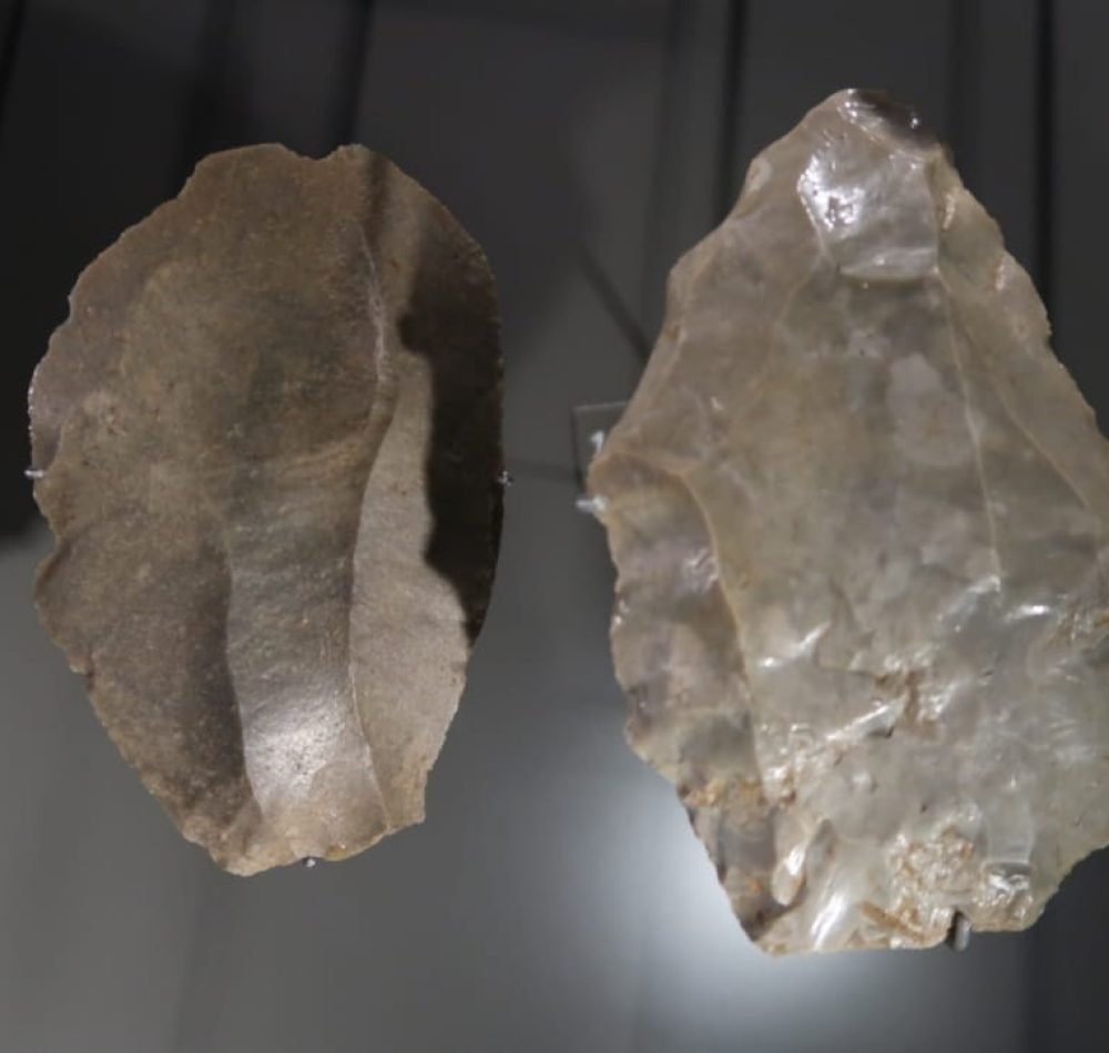 1: Éclat Levallois. Entre -300 000 et -28 000 ans. France, Corrèze, Brive-la Gaillarde, site de La Fournade. 2: Éclat Levallois. Entre -300 000 et -28 000 ans. France, Somme, Beauquesne. Musée des Confluences, Lyon - Ismoon [Pseudo Wikipédia] | Creative Commons BY-SA 4.0