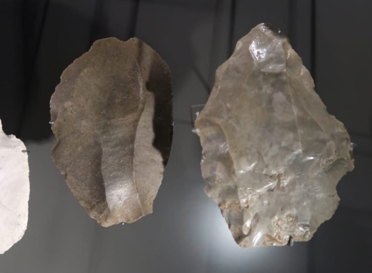 1: Éclat Levallois. Entre -300 000 et -28 000 ans. France, Corrèze, Brive-la Gaillarde, site de La Fournade. 2: Éclat Levallois. Entre -300 000 et -28 000 ans. France, Somme, Beauquesne. Musée des Confluences, Lyon - Ismoon [Pseudo Wikipédia] | Creative Commons BY-SA 4.0