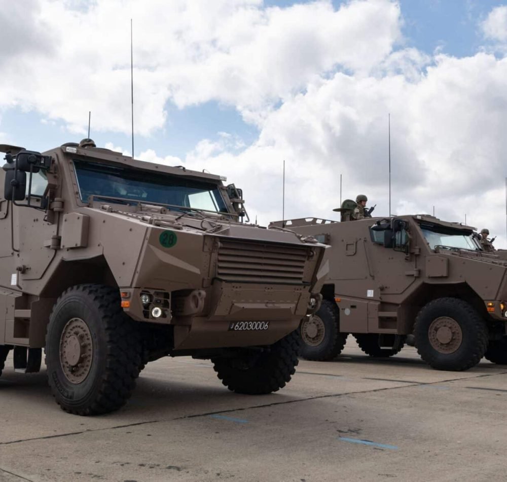 Griffon armée de Terre brun terre de France - Armée de Terre | Licence ouverte 2.0