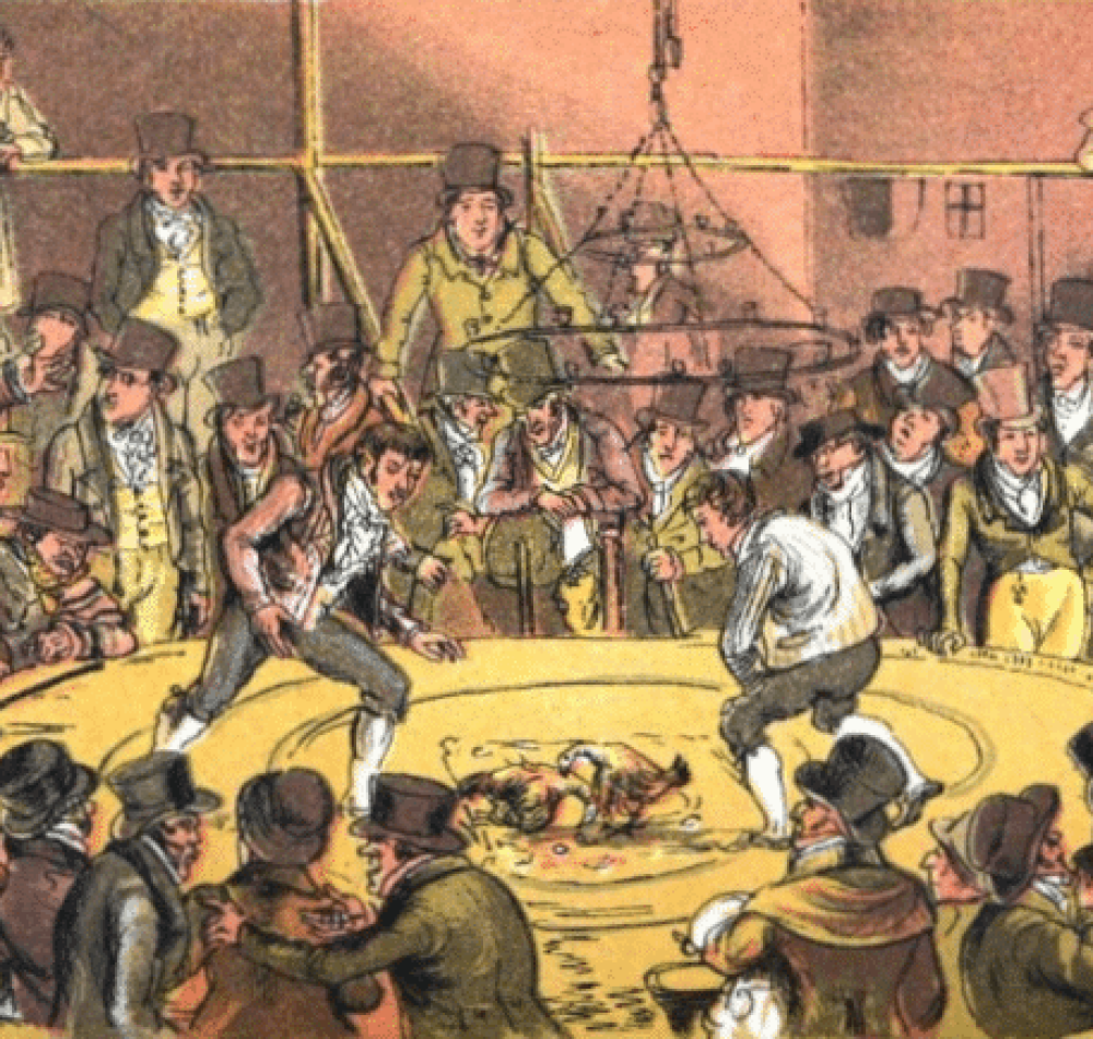 Illustration de Georges Cruikshank dans Life In Lodon représentant un combat de coqs dans les bas-fonds | Domaine public