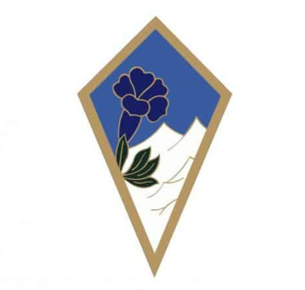 Insigne du 27e BIM | Armée de Terre