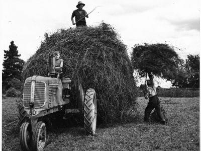 Récolte foin après 1950 - BiblioArchives / LibraryArchives | Creative Commons BY 2.0