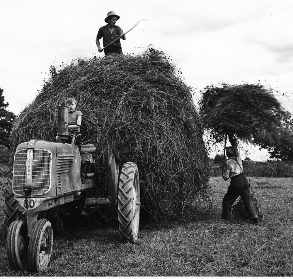 Récolte foin après 1950 - BiblioArchives / LibraryArchives | Creative Commons BY 2.0