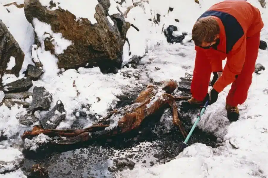 Ötzi l'homme du néolithique retrouvé dans les Alpes - Leopold Nekula