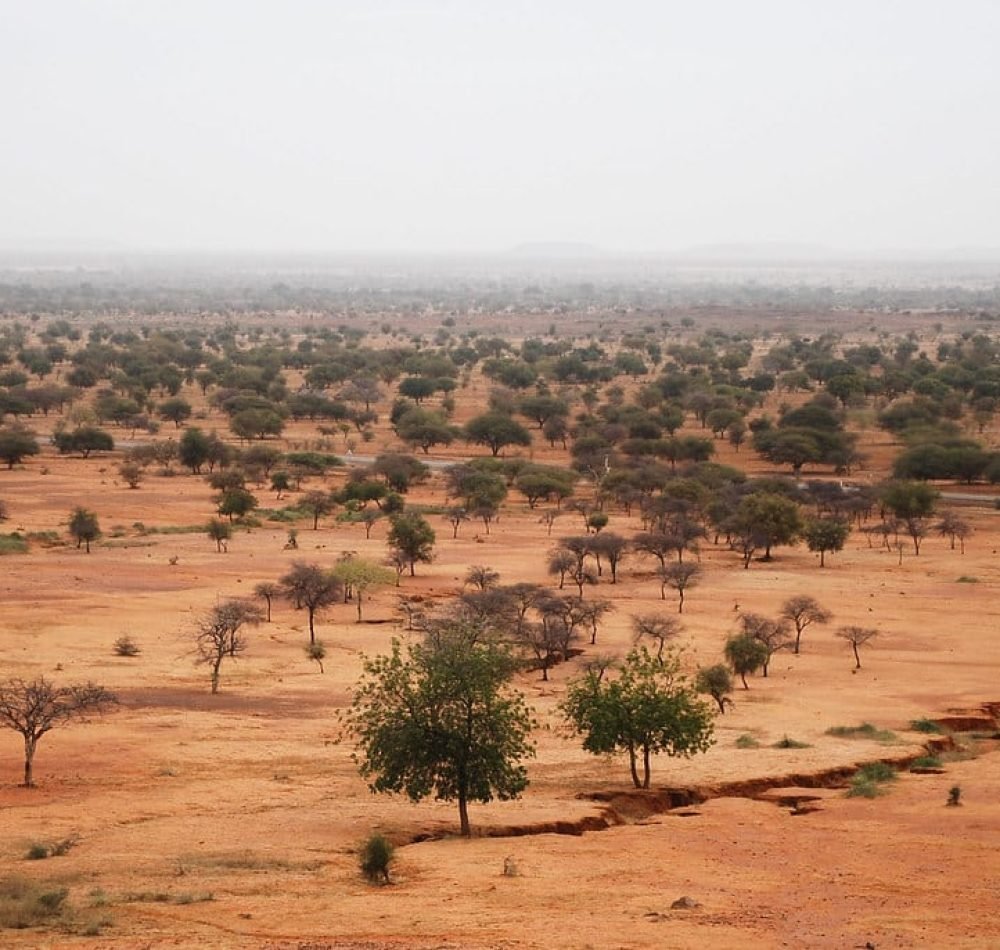 Paysage du Sahel - Daniel Tiveau (CIVOR) | Creative Commons BY-NC-ND 2.0