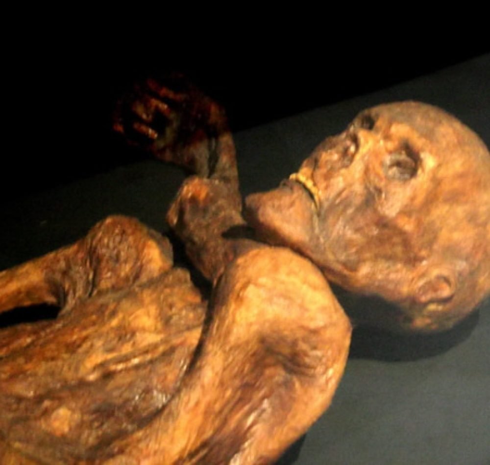 Reconstitution de la momie d'Ötzi présentée au musée de Préhistoire de Quinson - 120 (pseudo Wikipédia) | Creative Commons BY-SA 3.0