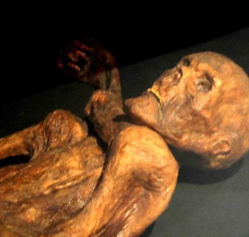 Reconstitution de la momie d'Ötzi présentée au musée de Préhistoire de Quinson - 120 (pseudo Wikipédia) | Creative Commons BY-SA 3.0