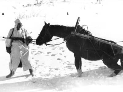 Soldat allemand et son cheval dans la campagne russe en 1941 - Bundesarchiv, Bild | Creative Commons BY-SA 3.0